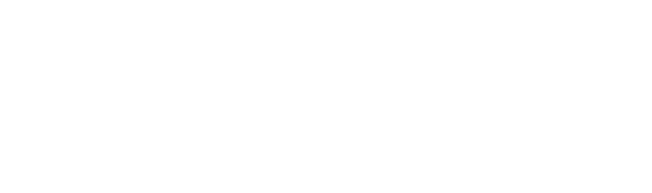 フラワーギフトThe Blue | 花のネットショップ from KUMAMOTO